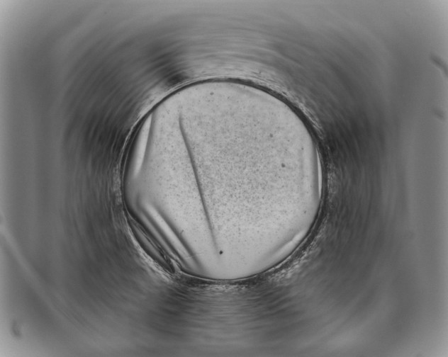 X0000097971521200804141039