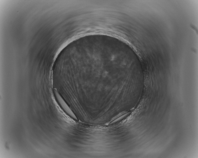 X0000097971522200804141039