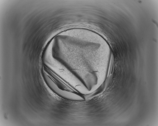 X0000097971523200804141039
