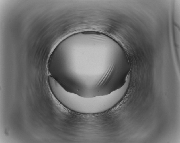X0000097971524200804141039