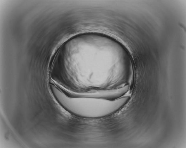 X0000097971525200804141039