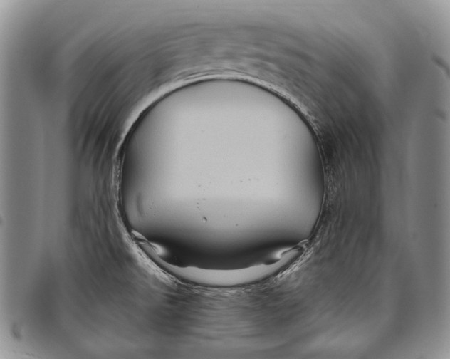 X0000097971526200804141039