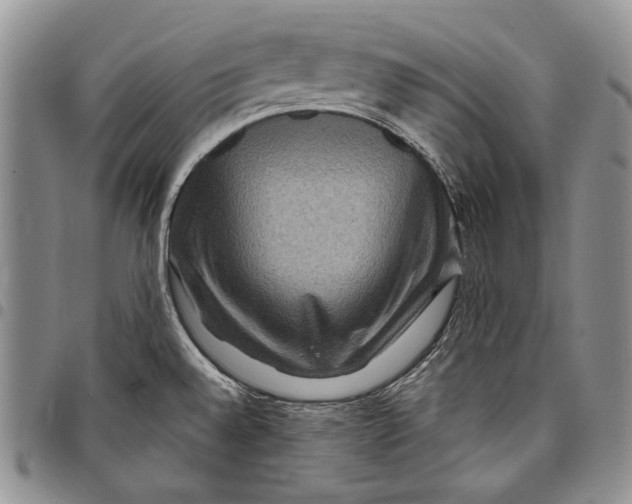 X0000097971528200804141039
