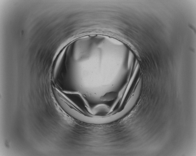 X0000097971530200804141039