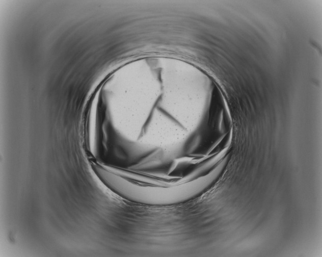 X0000097971531200804141039