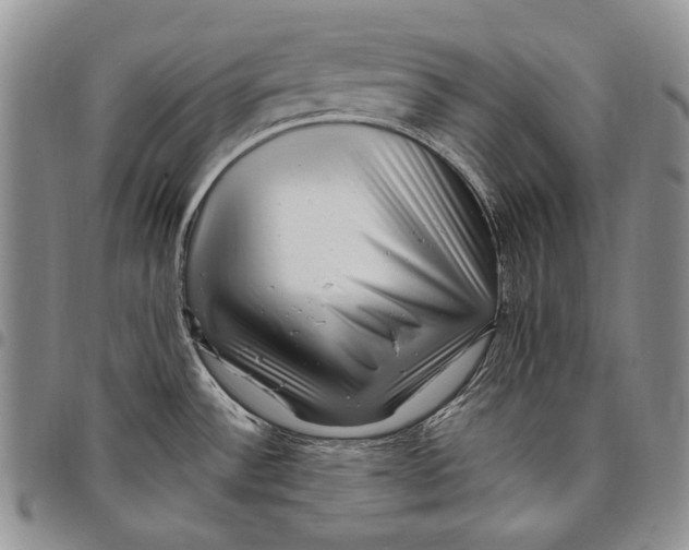 X0000097971532200804141039