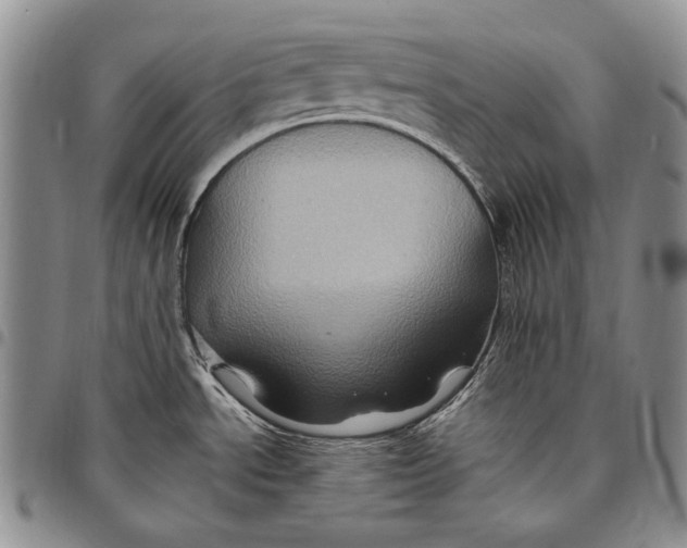X0000097971534200804141039