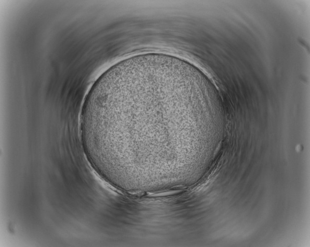 X0000097971535200804141039