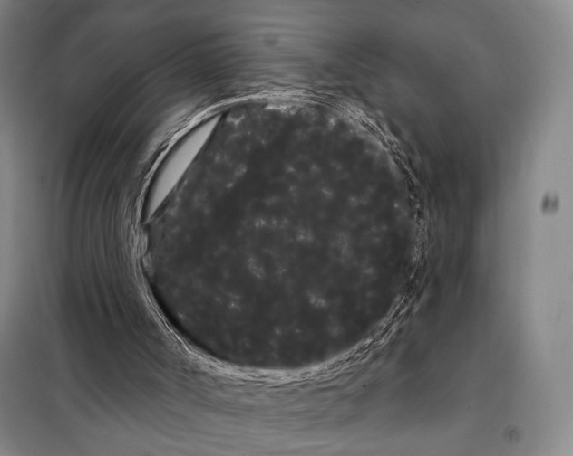 X0000097970002200804211024