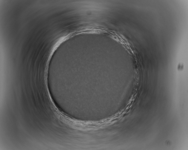 X0000097970003200804211024