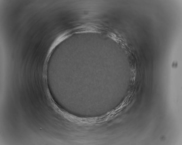 X0000097970004200804211024