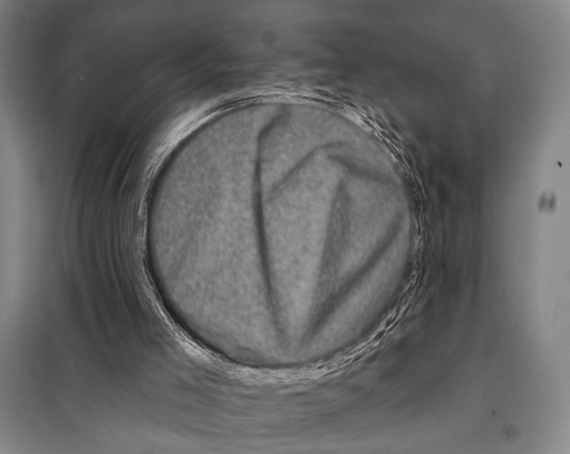 X0000097970005200804211024