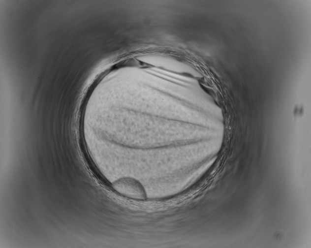 X0000097970006200804211024