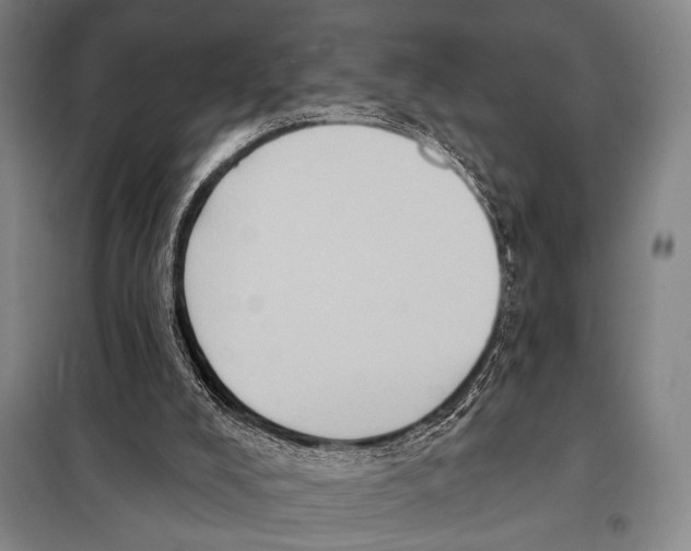 X0000097970008200804211024
