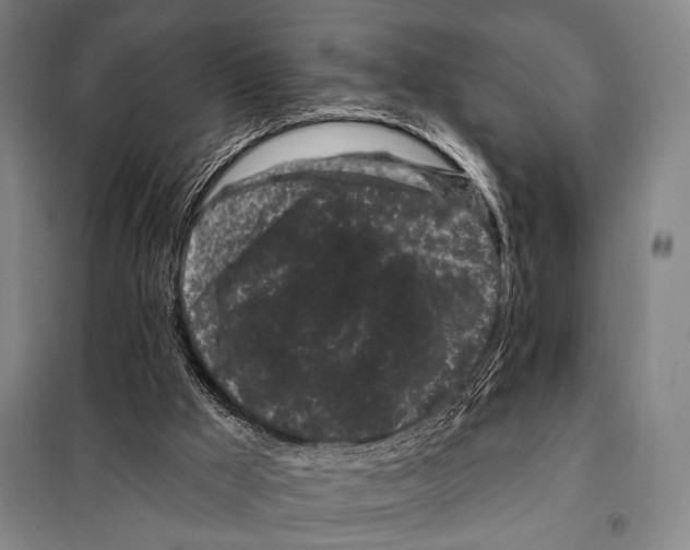 X0000097970009200804211024