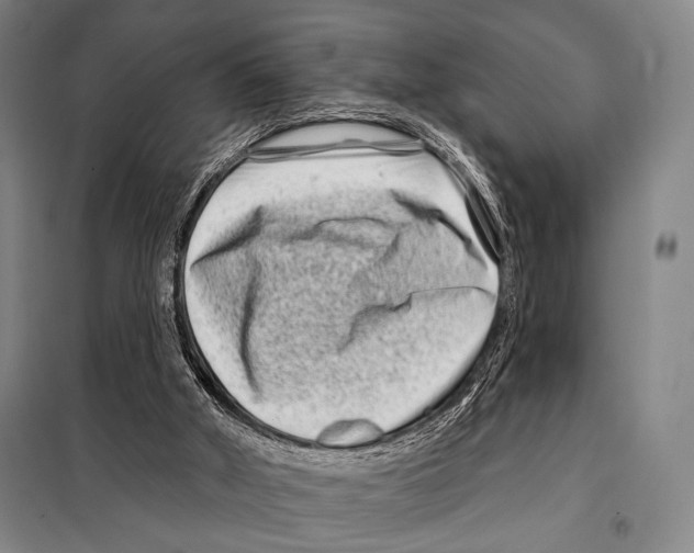 X0000097970010200804211024