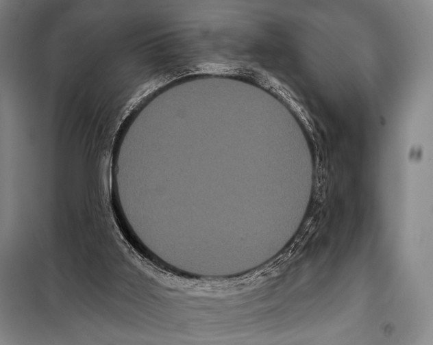X0000097970011200804211024