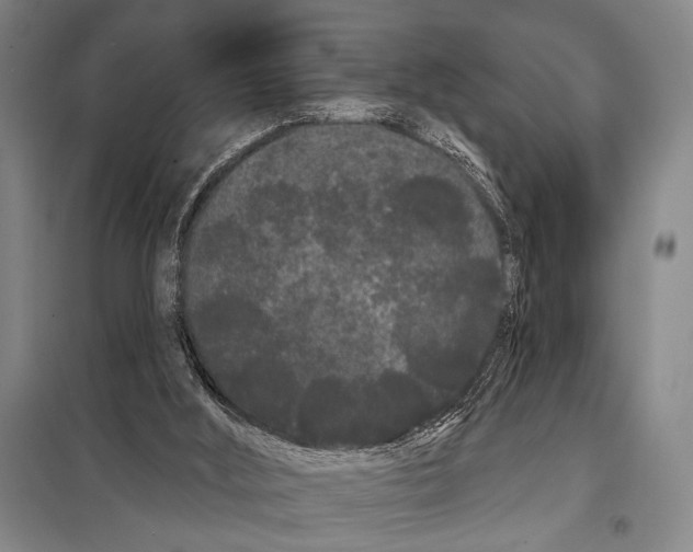 X0000097970012200804211024