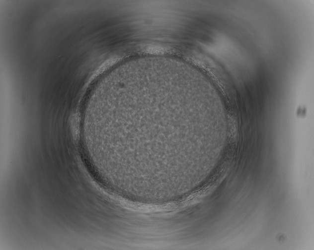 X0000097970016200804211024