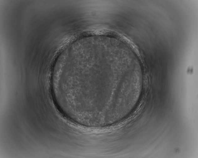X0000097970018200804211024