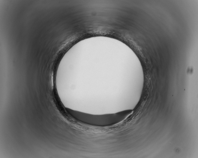 X0000097970020200804211024