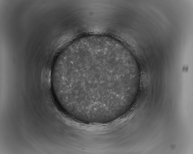X0000097970024200804211024