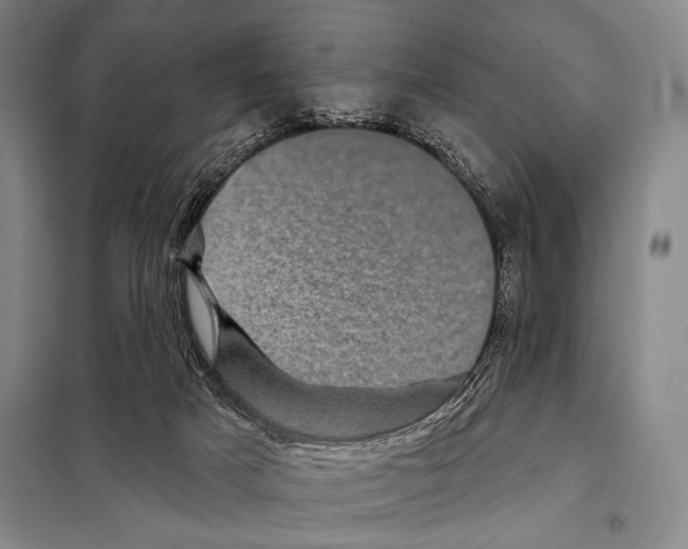 X0000097970025200804211024