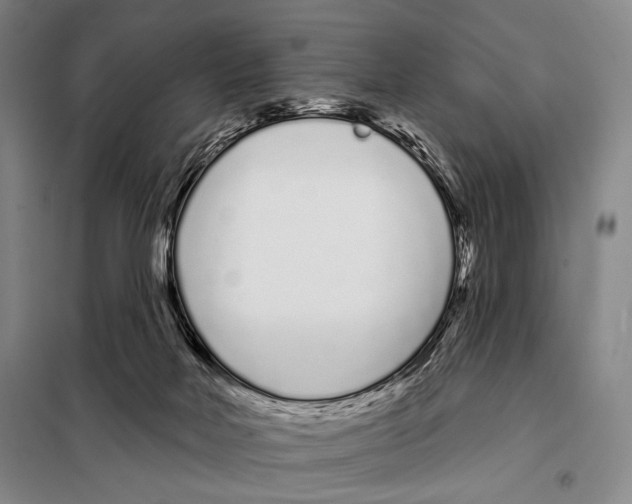 X0000097970026200804211024
