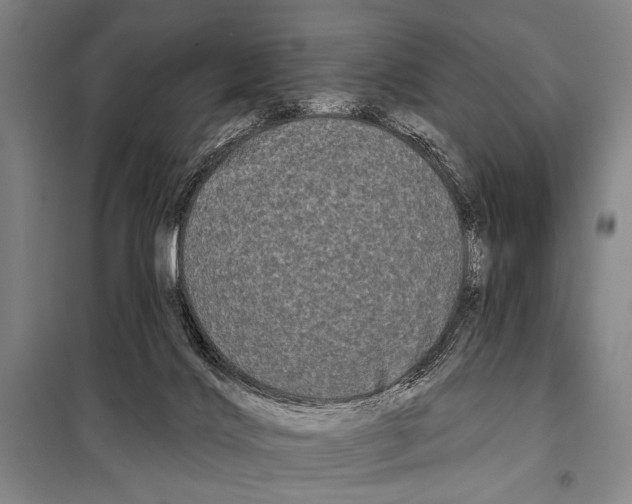 X0000097970028200804211024