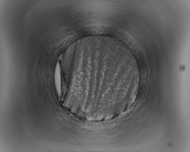 X0000097970029200804211023