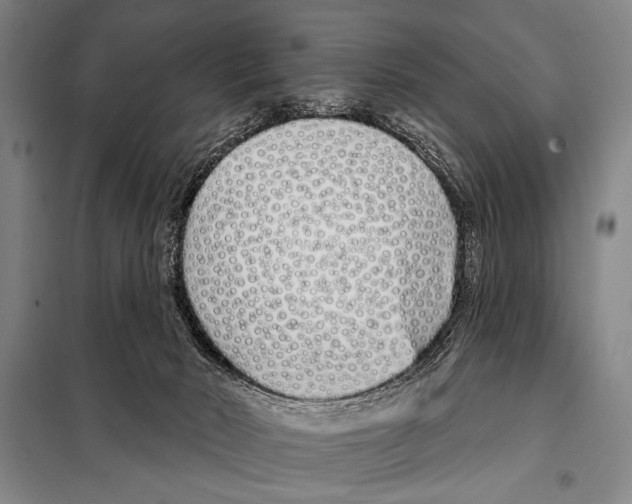 X0000097970030200804211023