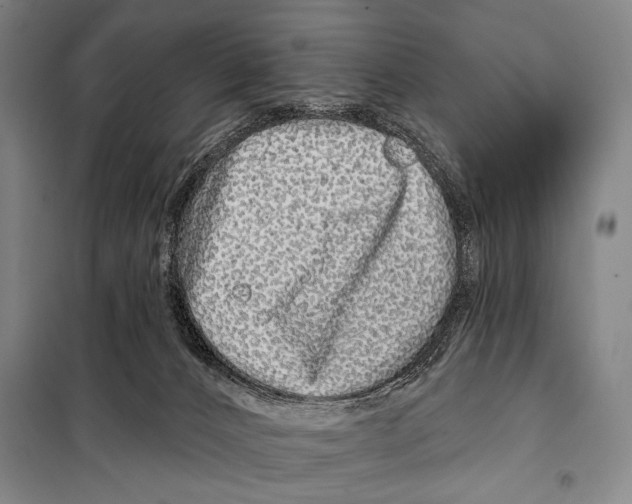 X0000097970032200804211023