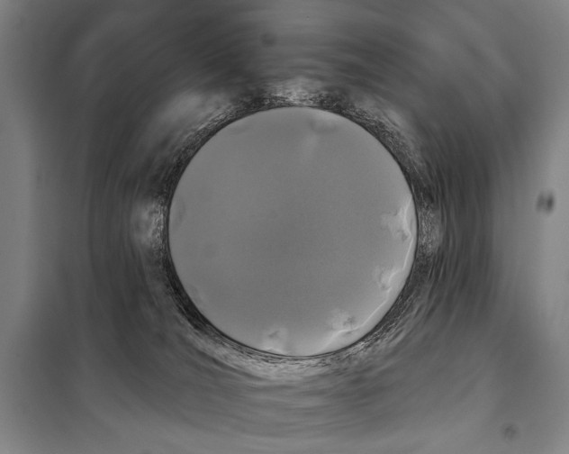 X0000097970036200804211023