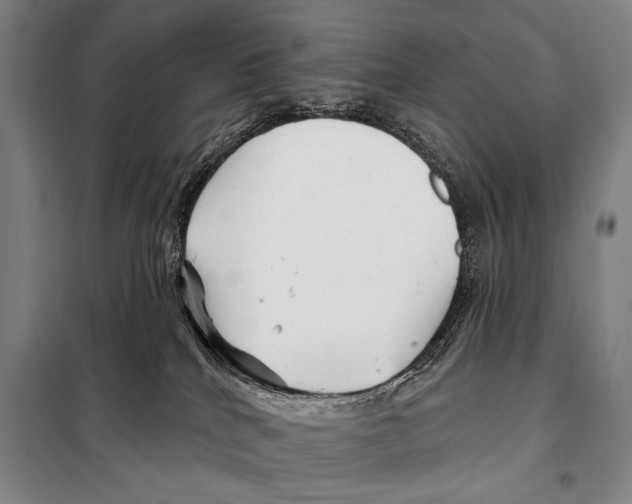 X0000097970040200804211023