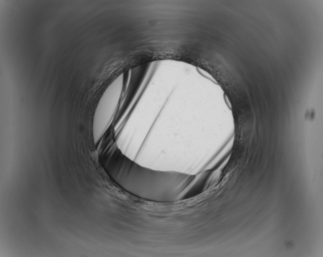 X0000097970041200804211023