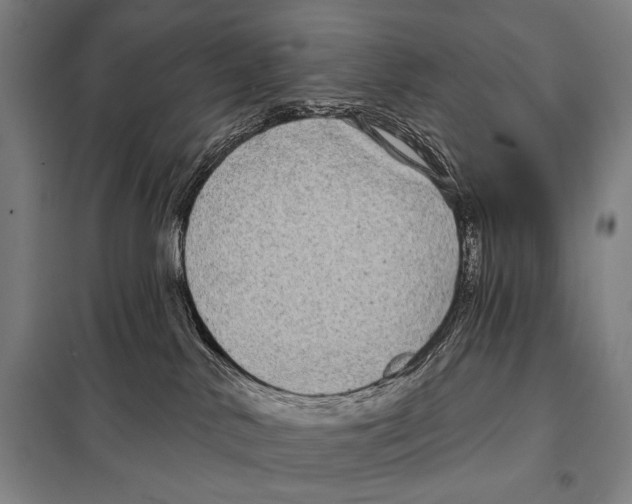 X0000097970042200804211023