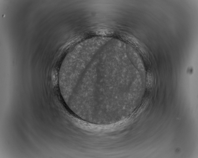 X0000097970043200804211023