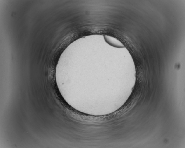 X0000097970044200804211023