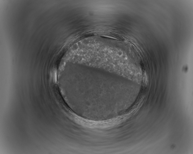 X0000097970046200804211023