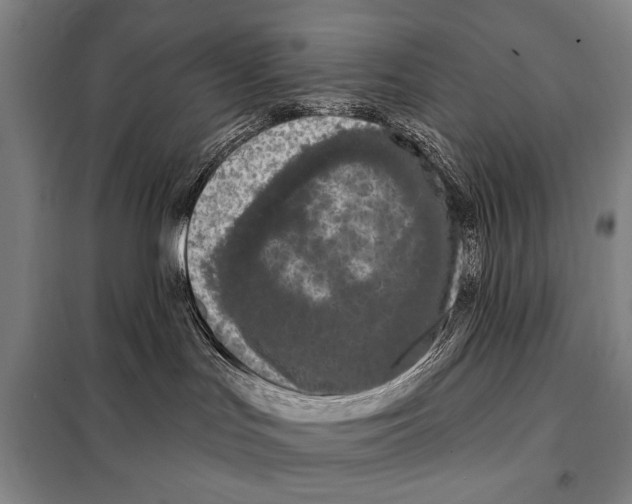 X0000097970047200804211023