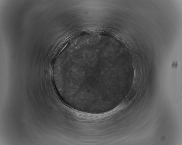 X0000097970048200804211023