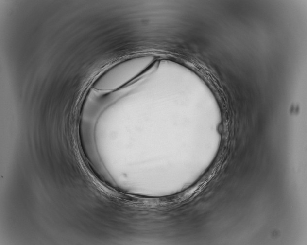 X0000097970049200804211022
