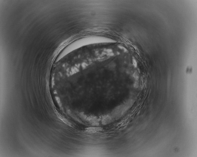 X0000097970051200804211022