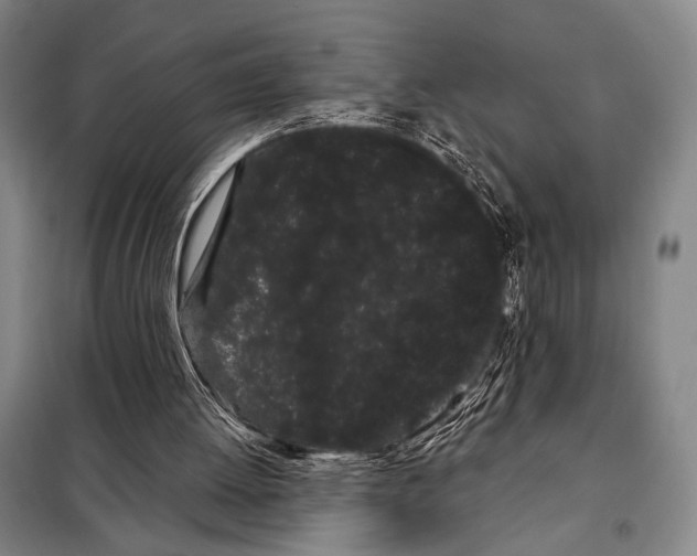 X0000097970052200804211022
