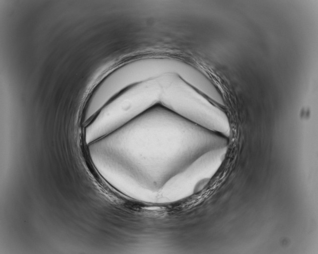 X0000097970053200804211022