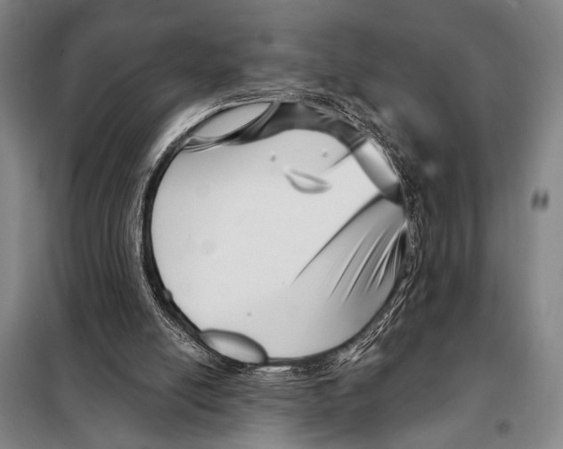 X0000097970054200804211022