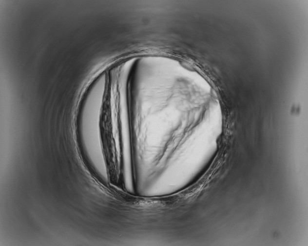 X0000097970055200804211022