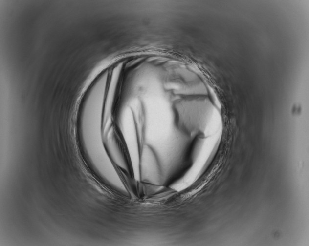 X0000097970056200804211022