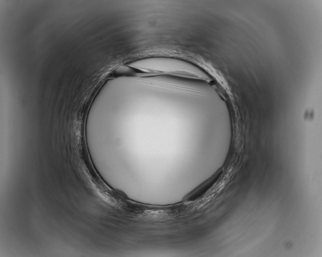 X0000097970057200804211022