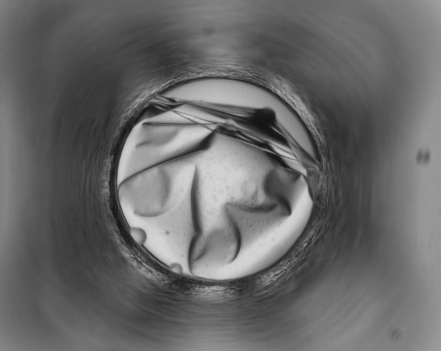 X0000097970058200804211022